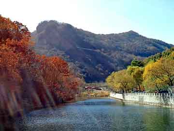 佛山鋼材市場排名顯赫，全球影響力不容小覷