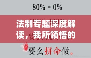 法制專(zhuān)題深度解讀，我所領(lǐng)悟的心得體會(huì)