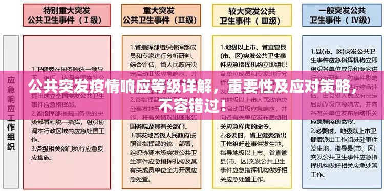 公共突發(fā)疫情響應等級詳解，重要性及應對策略，不容錯過！