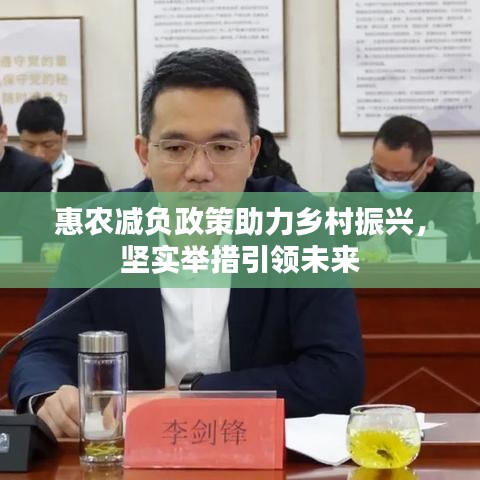 惠農(nóng)減負政策助力鄉(xiāng)村振興，堅實舉措引領(lǐng)未來