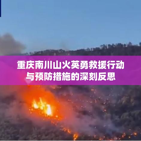 重慶南川山火英勇救援行動與預(yù)防措施的深刻反思