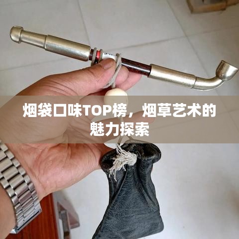 煙袋口味TOP榜，煙草藝術(shù)的魅力探索