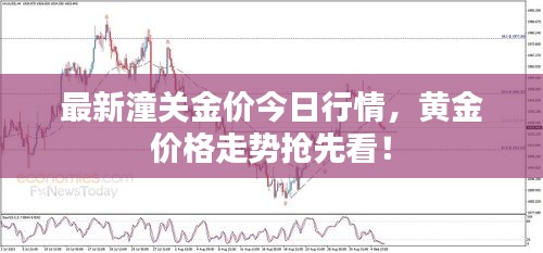 最新潼關(guān)金價今日行情，黃金價格走勢搶先看！