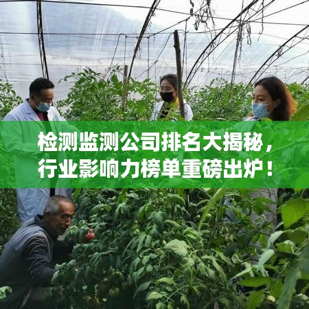檢測監(jiān)測公司排名大揭秘，行業(yè)影響力榜單重磅出爐！