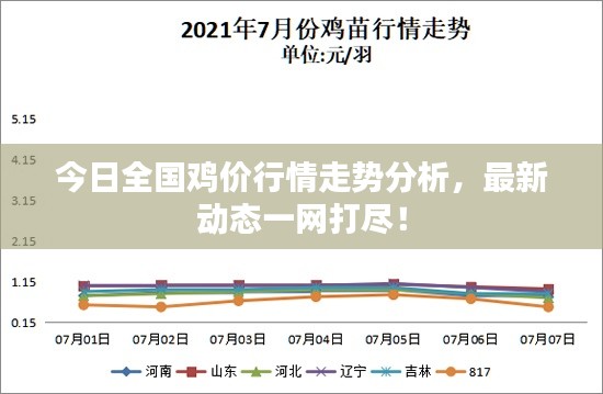 今日全國雞價行情走勢分析，最新動態(tài)一網(wǎng)打盡！